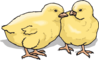 Two Chicks Clip Art